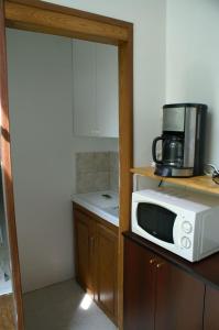 un horno microondas sentado en la parte superior de un mostrador en Appartement L'Hivernelle, en Capvern