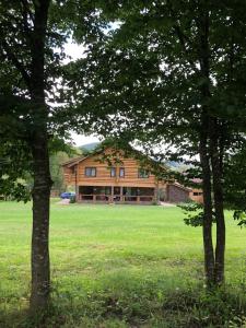 a large wooden house in a field with trees at Casa din Vale in Săcuieu