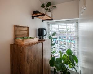 a room with a cabinet and a plant and a window at Black Cat in Galway