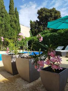 three pots with flowers and an umbrella next to a pool at Casa Francesca Altea piscina y aparcamiento privado in Altea