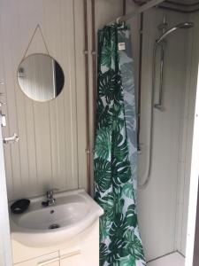 a bathroom with a sink and a shower curtain at Tiny House de Wood Lodge in Ootmarsum