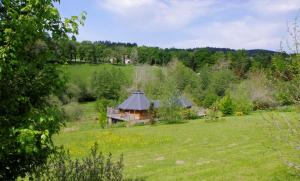 a cabin in the middle of a grassy field at Les Roulottes et Cabanes du Livradois in Cunlhat