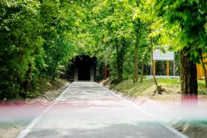 Fotografie z fotogalerie ubytování Anna Panzió v destinaci Dunavarsány