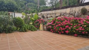 A garden outside Apartamentos Guadalupe