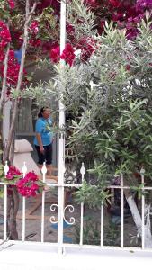Una donna in piedi accanto a un albero con dei fiori di Stella City Apartments a Fethiye