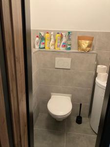 Koupelna v ubytování Apartmán Český Ráj + 14 fotografií