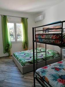 聖塔瑪麗亞拉帕爾瑪的住宿－Il Patio Alghero，一间卧室设有两张双层床和一扇窗户。