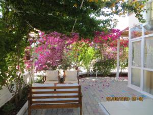 duas cadeiras sentadas debaixo de uma árvore com flores cor-de-rosa em Stella City Apartments em Fethiye