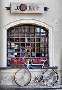 Jazda na bicykli v okolí ubytovania Royal Warsaw Apartment