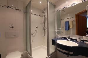ルクセンブルクにあるAu P'tit Max - Studios hotelのバスルーム(シャワー、洗面台、トイレ付)