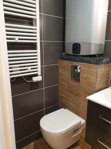 a bathroom with a toilet and a sink at Le 211,ski et randonnée, lave linge ,parking in Bernex