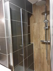a shower with a glass door in a bathroom at Le 211,ski et randonnée, lave linge ,parking in Bernex