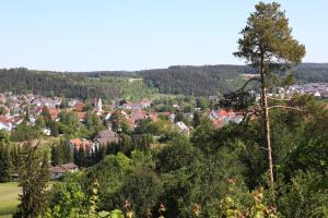 uitzicht op een stad vanaf een heuvel met bomen bij Albglück in Gammertingen