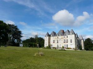 una gran casa blanca en un campo de hierba en Château de Piolant en Dangé