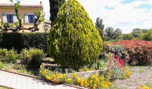 Billede fra billedgalleriet på GOLF CLUB D'UZES i Uzès