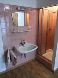 a bathroom with a sink and a shower at Donisbauerhof in Lieserbrücke