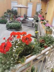 uma estufa cheia de plantas e flores em Baross-hat 4 em Szolnok