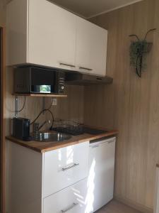 a kitchen with a sink and a microwave at La Cabane in Draguignan