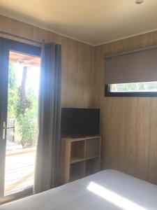 a bedroom with a bed and a television and a window at La Cabane in Draguignan