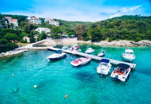 Foto dalla galleria di Guesthouse Kurelic Rab a Kampor