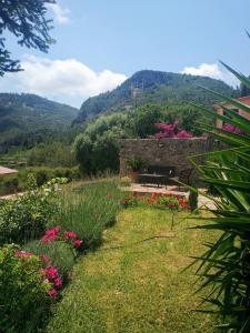 a garden with pink flowers in the grass at Casa la Coma in Pratdip