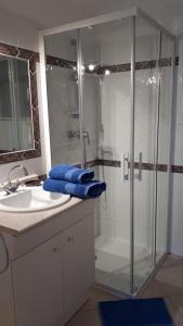 a bathroom with a glass shower and a sink at Casa Rurale Lou Pichoun Nis in Belcodène