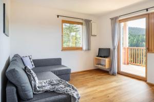 Televízia a/alebo spoločenská miestnosť v ubytovaní Spitalerhof Apartment & Sauna