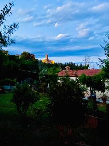 Příroda nedaleko hotelu