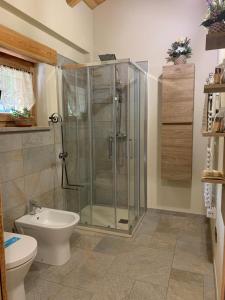 a bathroom with a glass shower and a toilet at LA DRIT in Paesana