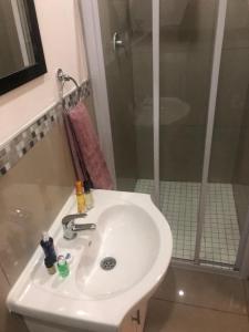 a bathroom with a sink and a shower at Mount Pleasant Suites in Port Elizabeth