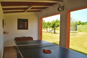 a ping pong table in a room with a view of a park at Villa Dorina in Barban