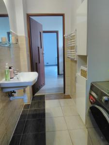 Ванна кімната в Apartament Meluzyna