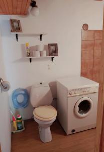 a bathroom with a toilet and a washing machine at Jirkova chata in Lipova Lazne