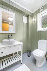 a bathroom with a sink and a toilet and a mirror at Two bedroom apartment in beautiful Flåm valley in Flåm