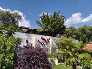 Zahrada ubytování Nikos Stone House 80m from the beach with wifi