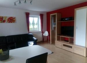 uma sala de estar com um sofá preto e uma televisão em Ferienanlage Karolinenhof em Haundorf