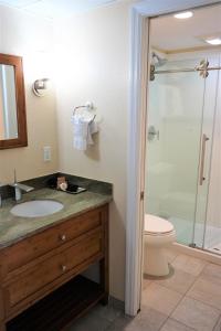 a bathroom with a sink and a toilet and a shower at Glunz Ocean Beach Hotel and Resort in Marathon