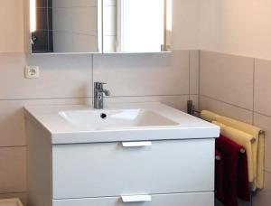 a bathroom with a white sink and a mirror at Ferienanlage Karolinenhof in Haundorf +35 photos