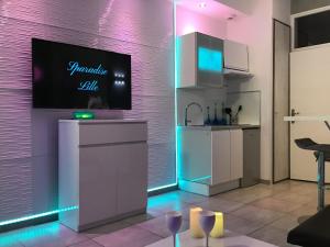 TV a/nebo společenská místnost v ubytování Sparadise Lille
