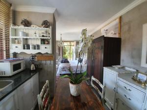 a kitchen with a table with a plant on it at Waterhouse Guest Lodge in Waterkloof in Pretoria