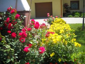 ogród kolorowych kwiatów przed domem w obiekcie Willa Sielanka w Kudowie Zdroju