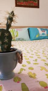 un cactus in una pentola seduta su un letto di La Nchioscia a Ostuni