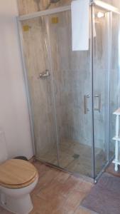 a bathroom with a glass shower with a toilet at PuraVida Divehouse in Sagres
