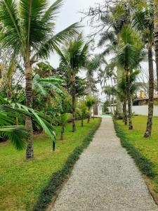 un chemin dans un parc planté de palmiers dans l'établissement Praias Brancas. Boa Vida, à Florianópolis