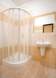 a bathroom with a shower and a sink at Pension Wallis in Pilsen