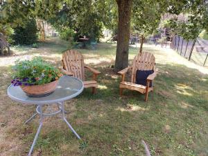 two chairs and a table with a potted plant on it at Maison Tifaloc in Montélimar