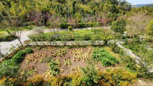 A garden outside Hoka in Sanyi
