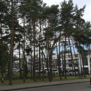 a group of trees in a park next to a street at Apartament Baltic Park in Pogorzelica