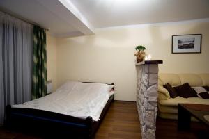 コシチェリスコにあるApartamenty Butorowy Wierchのベッドルーム1室(ベッド1台、ソファ付きの暖炉付)