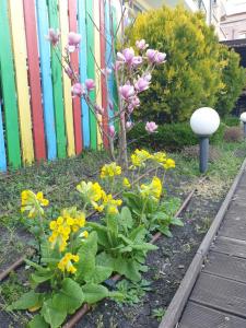 A garden outside Mirana Family Hotel